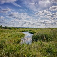 Тихие воды :: Дмитрий Костоусов