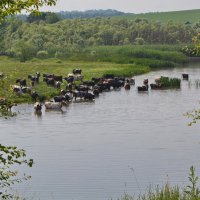 Жарко :: Петр Заровнев