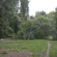 В Гагаринском парке :: Валентин Семчишин