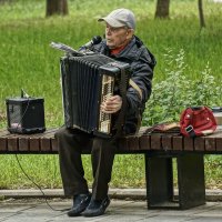 Музыкант :: Алексей Виноградов