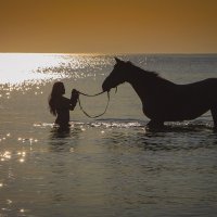 Купание коня на закате :: Виталий Латышонок