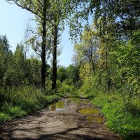 Уж небо  осенью... :: kolyeretka 