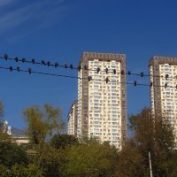 Городские зарисовки :: Андрей Лукьянов