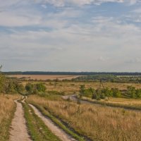 Дорога в полях :: Ольга Винницкая (Olenka)