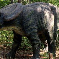 динозавры :: ольга хакимова