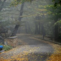 В парке осеннем...... :: Юрий Цыплятников