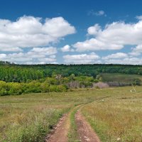 По дорогам ушедшего августа.. :: Андрей Заломленков