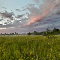 У леса поднимался туман :: Лара Симонова 