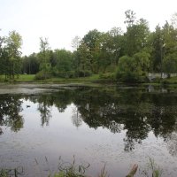 Средний Ламский пруд :: Наталья Герасимова