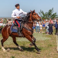 Конная группа Всевеликого Войска Донского :: Андрей Lyz