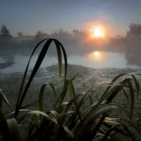 Рассвет,туман,август..... :: Андрей Войцехов