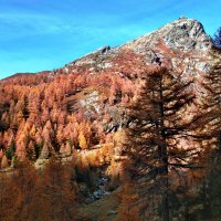 Осень в горах :: Elena Wymann