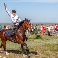 Конная группа Всевеликого Войска Донского :: Андрей Lyz