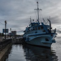 Амур пытается выйти на набережную. :: Виктор Иванович Чернюк