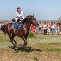 Конная группа Всевеликого Войска Донского :: Андрей Lyz