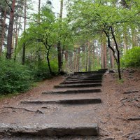 В старом парке ступеньки исхожены... :: Нэля Лысенко