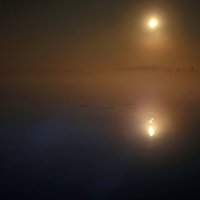 Туман над озером... :: Нэля Лысенко