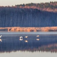 на взлётной полосе :: Василий Иваненко