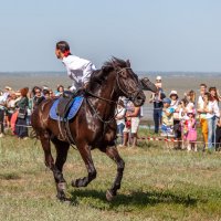 Конная группа Всевеликого Войска Донского :: Андрей Lyz