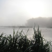 Утренний туман на озере. :: Маргарита ( Марта ) Дрожжина