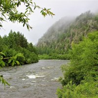 Дождливый день :: Сергей Чиняев 