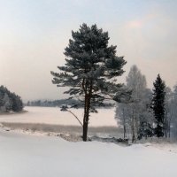 Зима на Ладоге :: Vyacheslav Gordeev