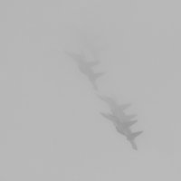 Русские витязи в тумане :: ID@ Cyber.net