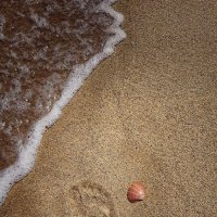 Beach, Aegean sea, shells, steps.... :: Lilek Pogorelova