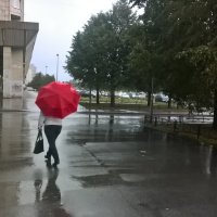 В Санкт-Петербурге дождь :: Митя Дмитрий Митя