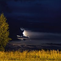 Тихий лунный вечер :: Владимир Максимов