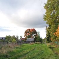 ОСЕНЬ В ДЕРЕВНЕ :: Виктор Елисеев