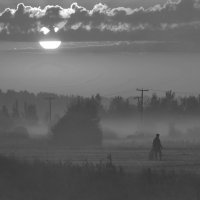 Безмятежность живет средь туманных полей... :: Сергей Дружаев