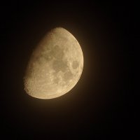 The Moon :: Иван Литвинов