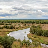 Извилина реки :: Юрий Стародубцев