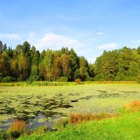 В начале осени :: Андрей Снегерёв