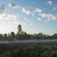 *** :: Владимир Безбородов