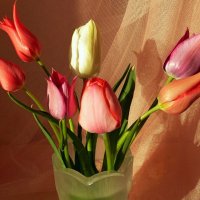 Букет тюльпанов - подарок весны! :: Лидия Бараблина