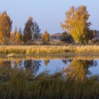 Золотая осень. :: ТатьянА А...