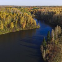 В глухой тайге 3 :: Сергей Жуков