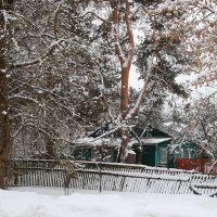 Зимой в деревне. :: Инна Щелокова