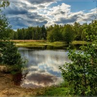 Лесное озеро, осень 2 :: Андрей Дворников