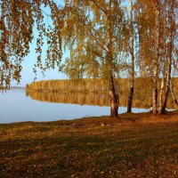 В золотой тишине листопада... :: Нэля Лысенко