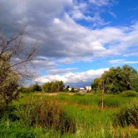 Накрывает июнь облаками... :: Лидия Бараблина