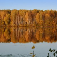Осенних красок отраженье... :: Нэля Лысенко