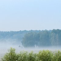 Туман за речкой. :: Владимир Безбородов