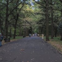 Прогулки в Осеннем Парке :: юрий поляков