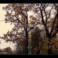 Осень в городе на Неве :: vadim 