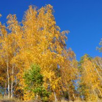 24.09.19 :: Людмила Ковалева