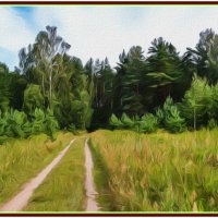 По дороге в лес. :: Vladimir Semenchukov