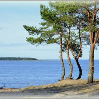 Балтийский берег. :: Ольга Кирсанова